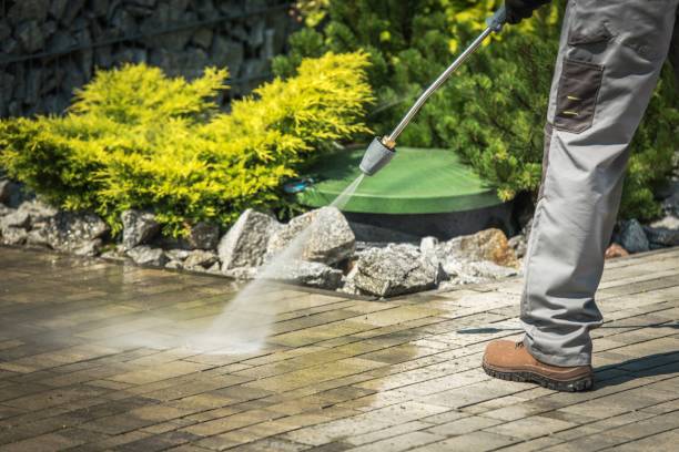 Best Pre-Holiday Cleaning  in Wildwood, NJ