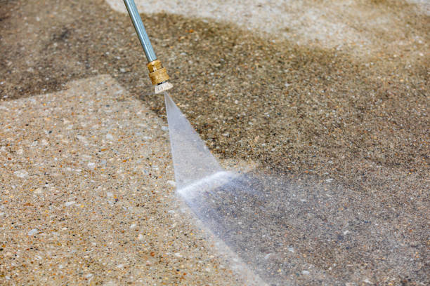 Best Animal Enclosure Cleaning  in Wildwood, NJ